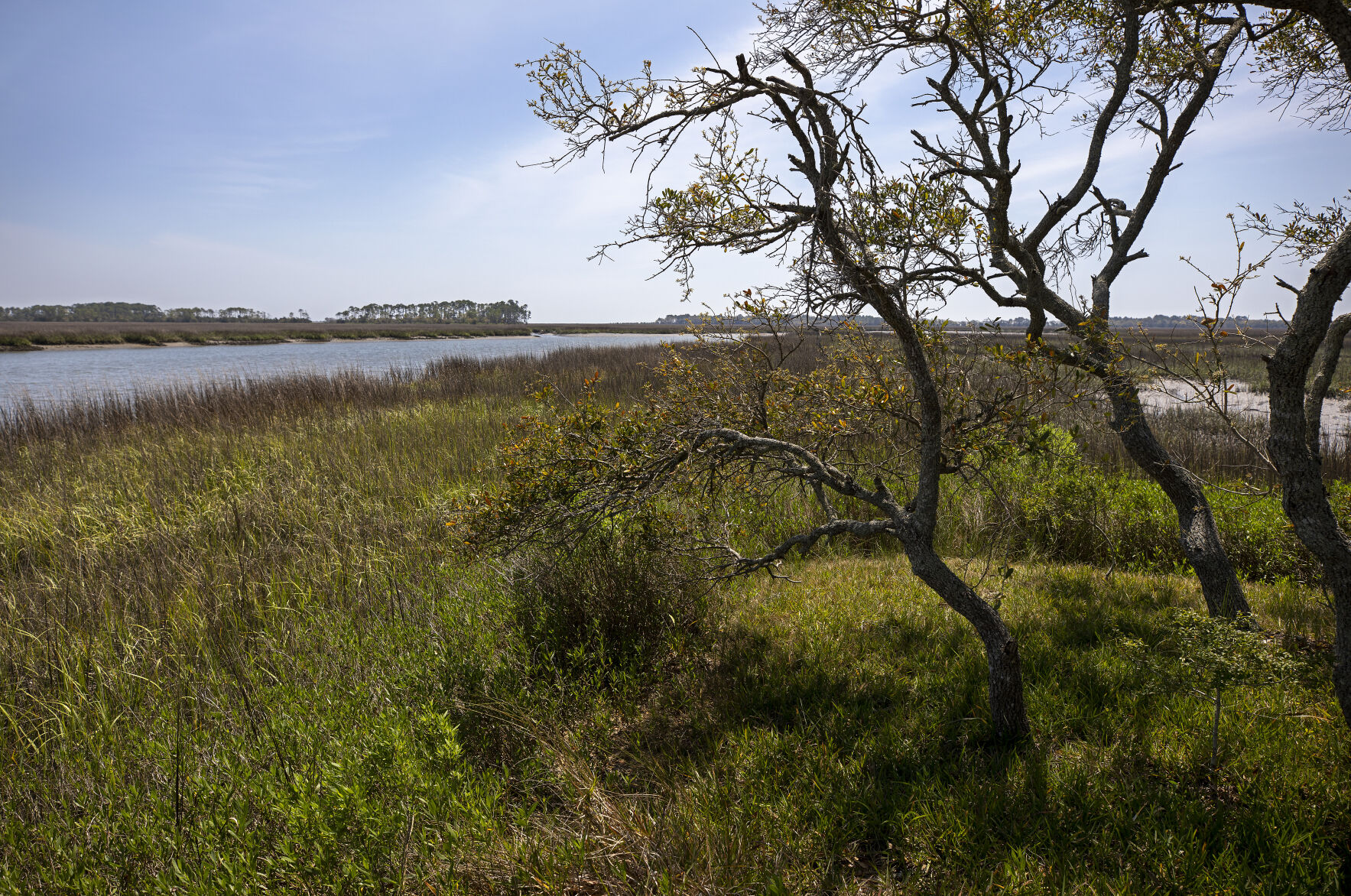 Green Creek view.jpg